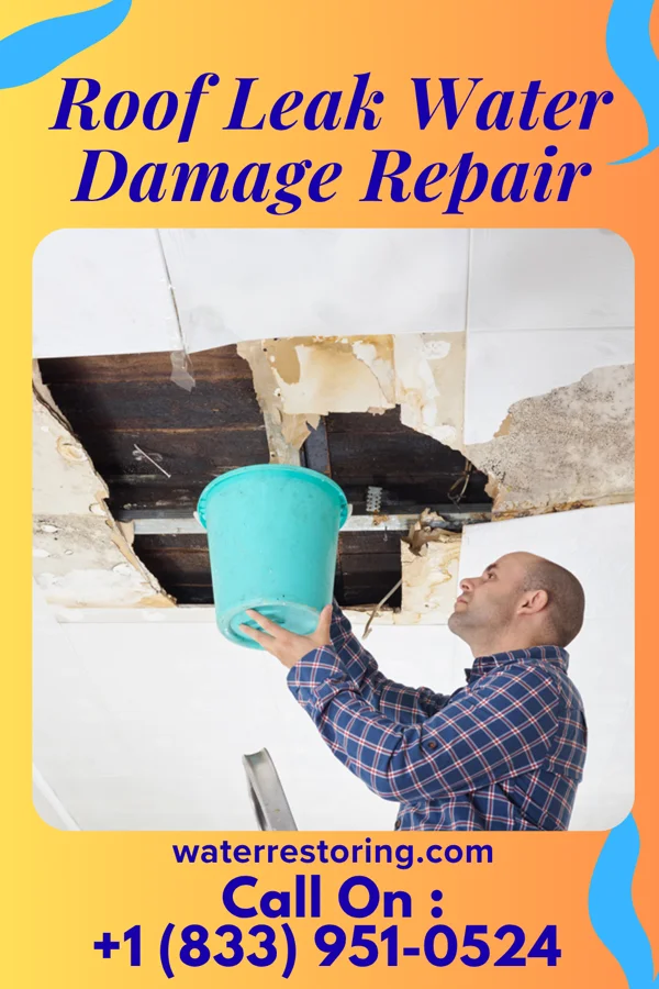 Roof Leak Water Damage Repair in McHenry, ND